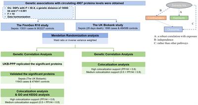 Utilize proteomic analysis to identify potential therapeutic targets for combating sepsis and sepsis-related death